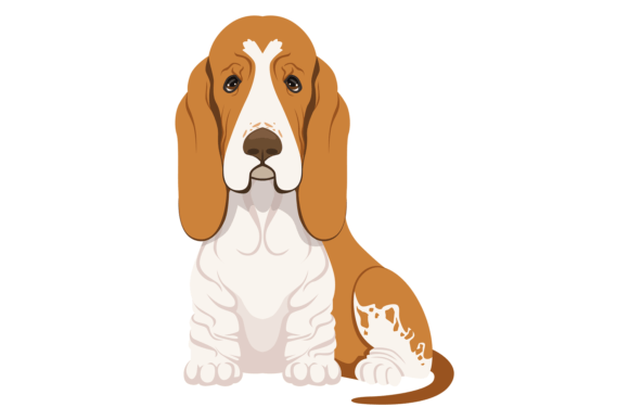 Basset Hound Sitting. Funny Dog Breed Ic Graphics and Illustrations