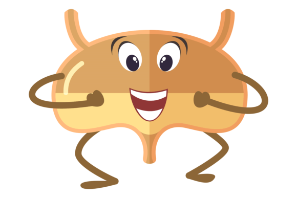 Funny Bladder Character. Cute Cartoon Hu Graphics and Illustrations