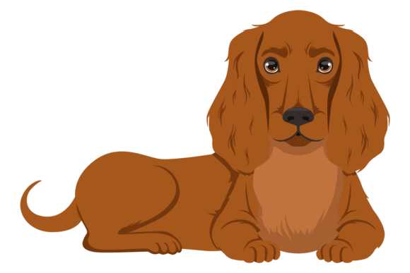Lying Setter. Funny Domestic Animal. Dog Graphics and Illustrations